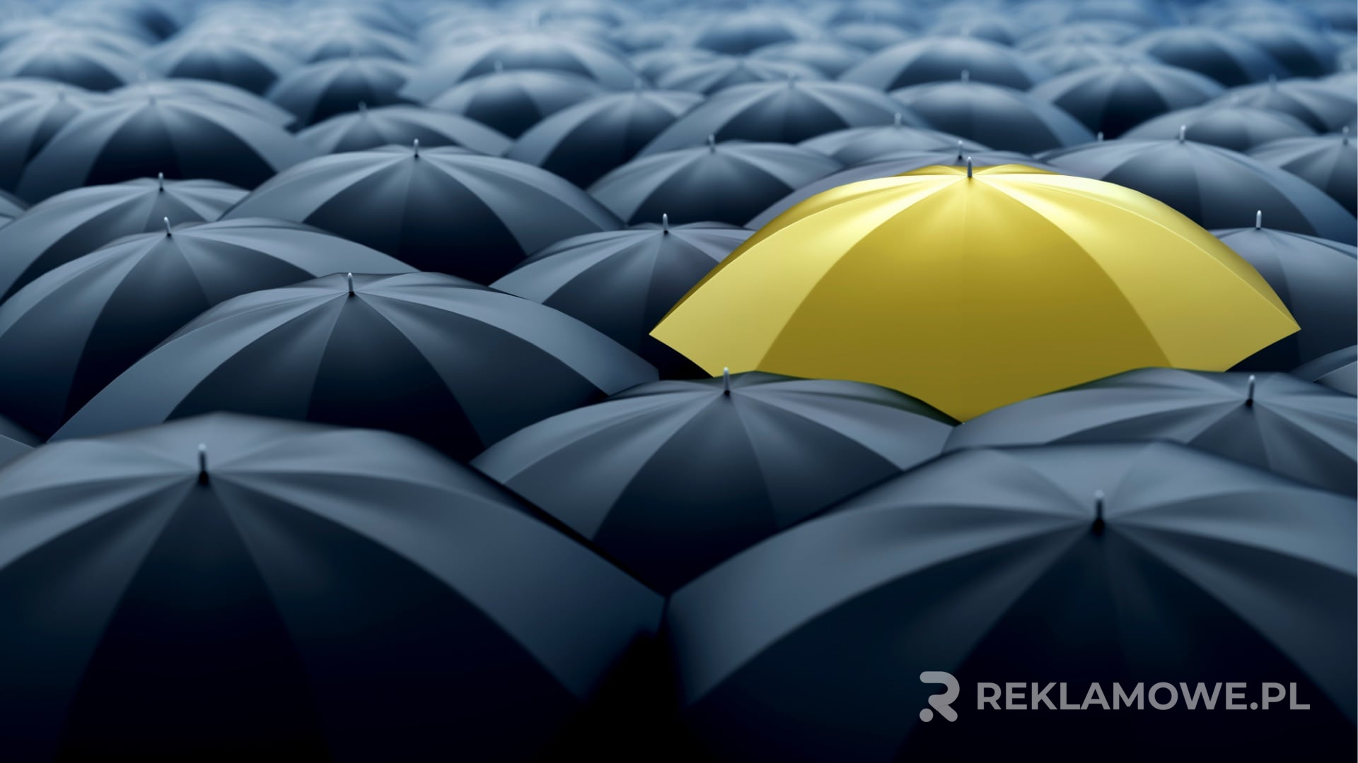 Czyszczenie parasola reklamowego