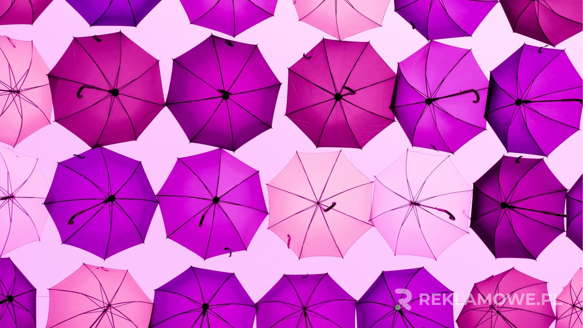 Innowacyjne parasole reklamowe o najnowszych trendach w 2026 roku