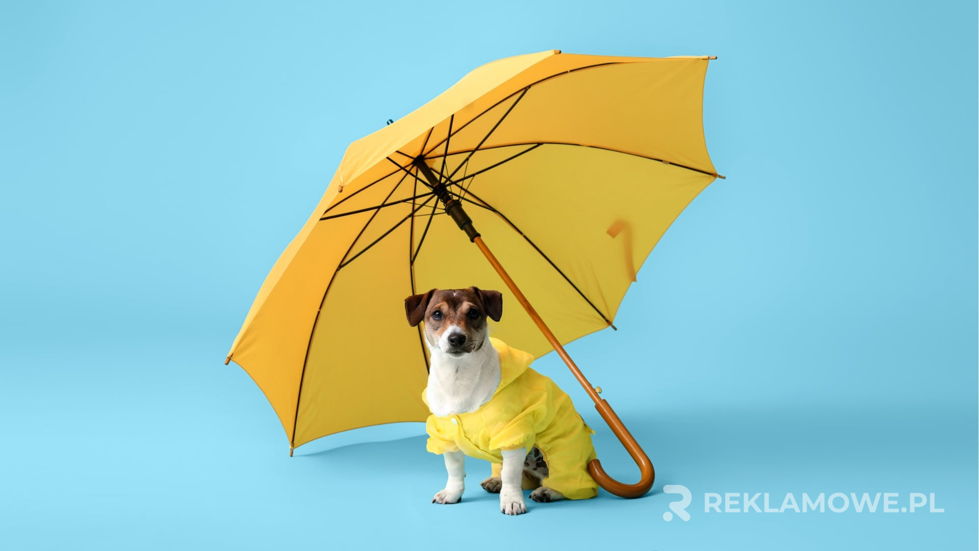 Różne modele parasoli reklamowych od popularnych producentów